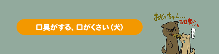 口臭がする、口がくさい(犬)