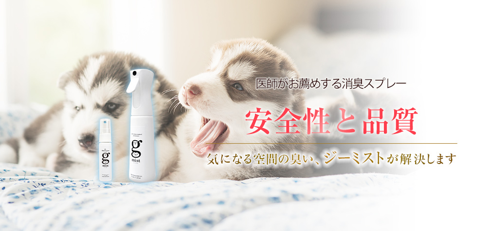 大切な家族の一員への思いやり。安全性について